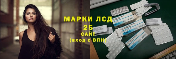 хмурый Алзамай