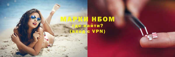 хмурый Алзамай