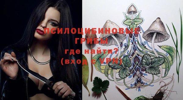 Альфа ПВП Алексин