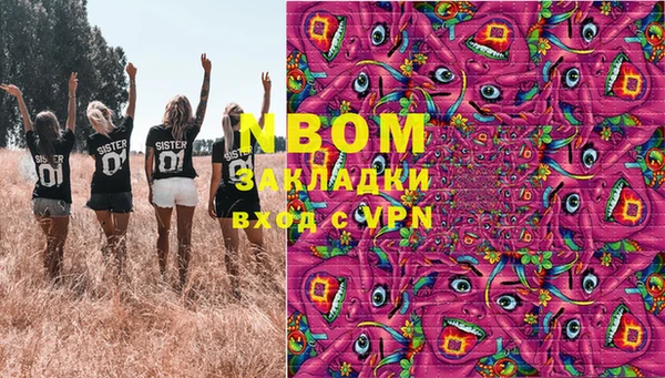 хмурый Алзамай
