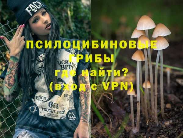 хмурый Алзамай