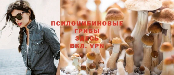 хмурый Алзамай