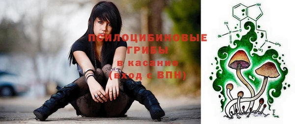 ГАЛЛЮЦИНОГЕННЫЕ ГРИБЫ Аркадак