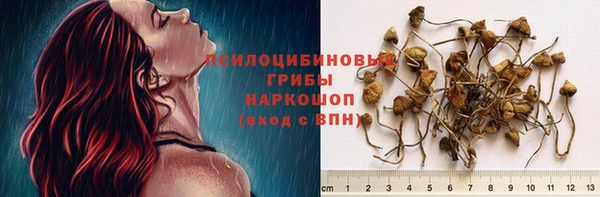 твердый Алексеевка