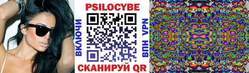 Галлюциногенные грибы Psilocybe  Аша 
